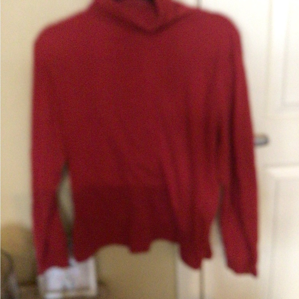 Pl beautiful red turtle neck top